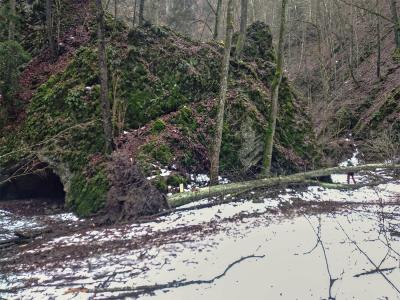 Spadané stromy v Suchém žlebu u Čertovy branky 28. 12. 2023
